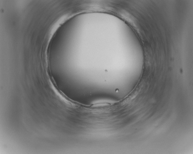 X0000069841479200606021349