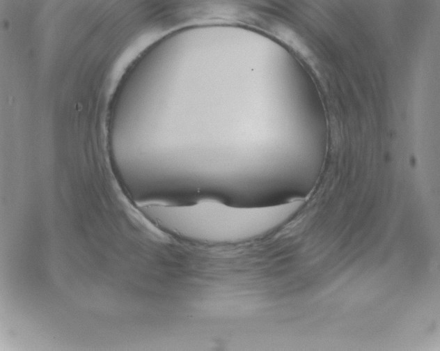 X0000069841480200606021349