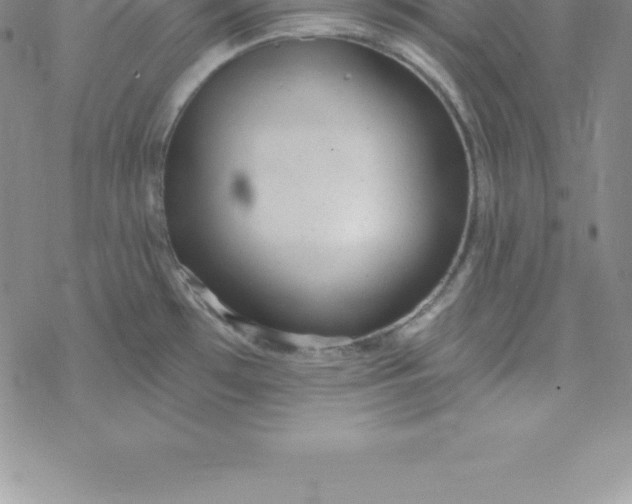 X0000069841481200606021349