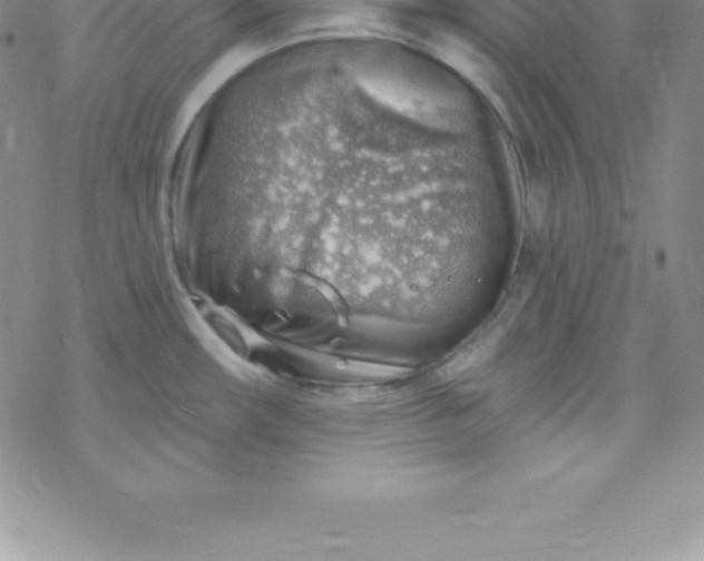 X0000069841482200606021349