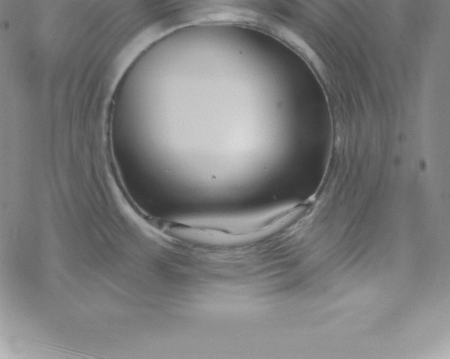 X0000069841483200606021349