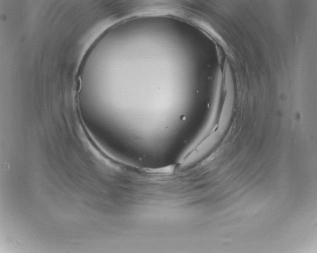 X0000069841484200606021349