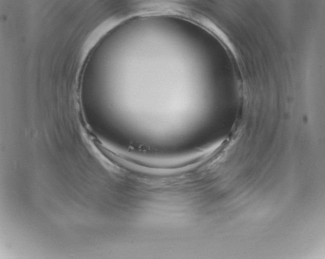 X0000069841485200606021349