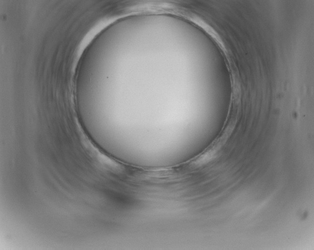 X0000069841486200606021349