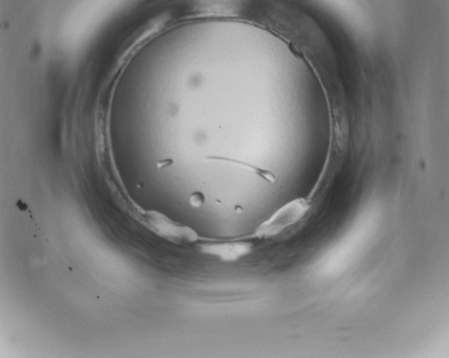 X0000069841487200606021349