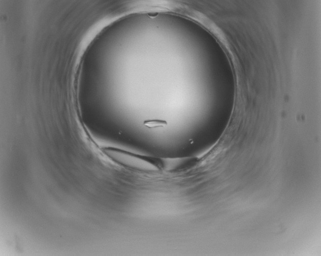 X0000069841488200606021349