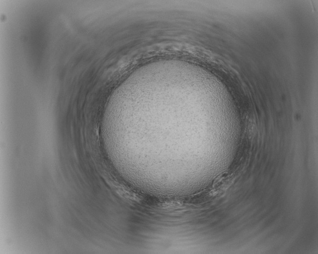 X0000069841489200606021348