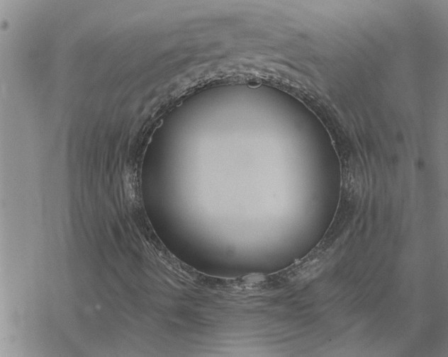 X0000069841490200606021348