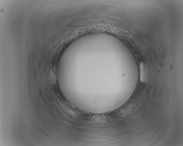 X0000069841491200606021348