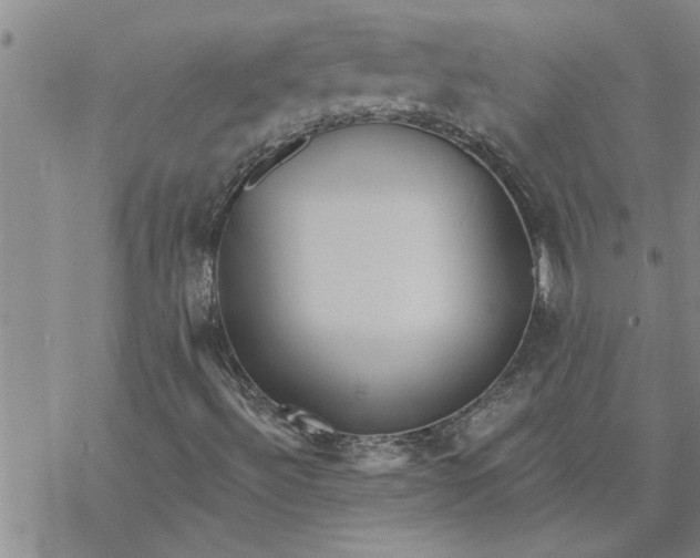 X0000069841492200606021348