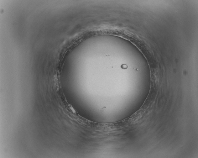 X0000069841493200606021348