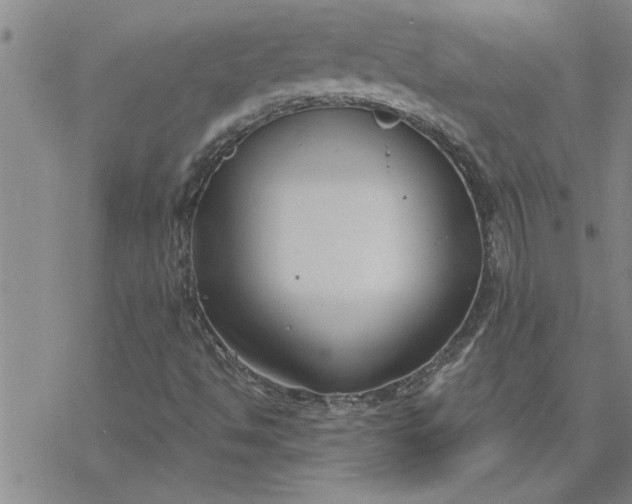 X0000069841494200606021348