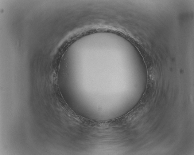 X0000069841495200606021348