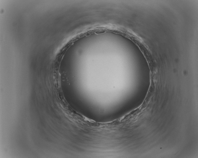 X0000069841496200606021348