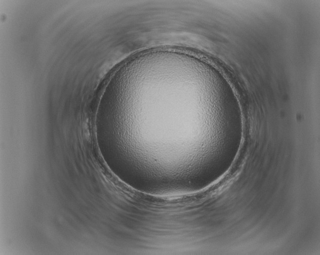 X0000069841497200606021348