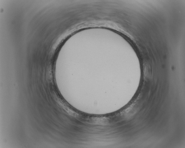 X0000069841498200606021348