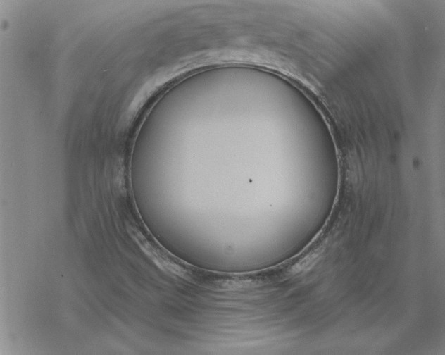 X0000069841499200606021348