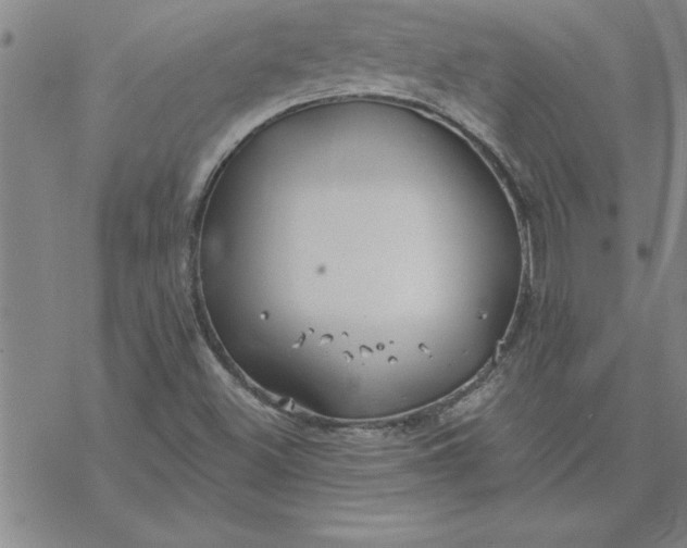 X0000069841500200606021348