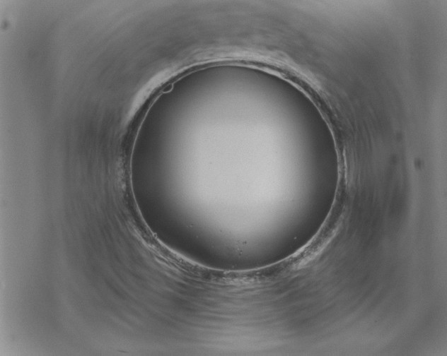 X0000069841501200606021348