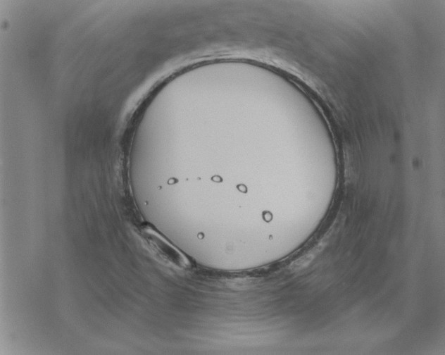 X0000069841502200606021348