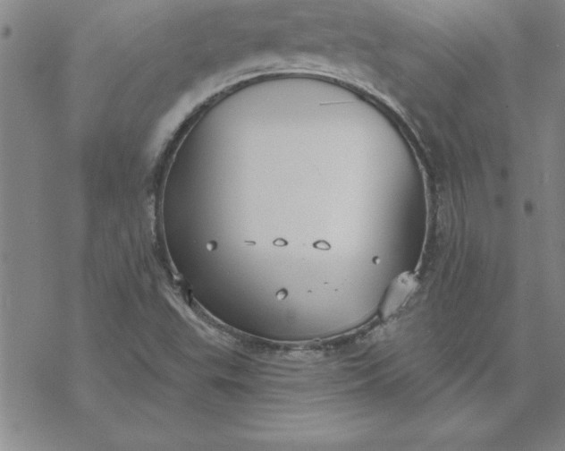 X0000069841503200606021348