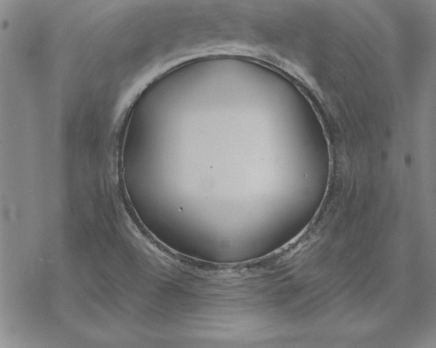 X0000069841504200606021348