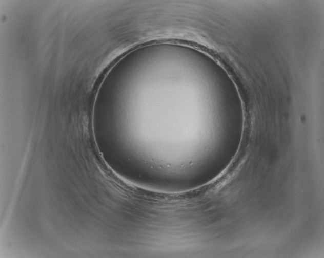 X0000069841505200606021348