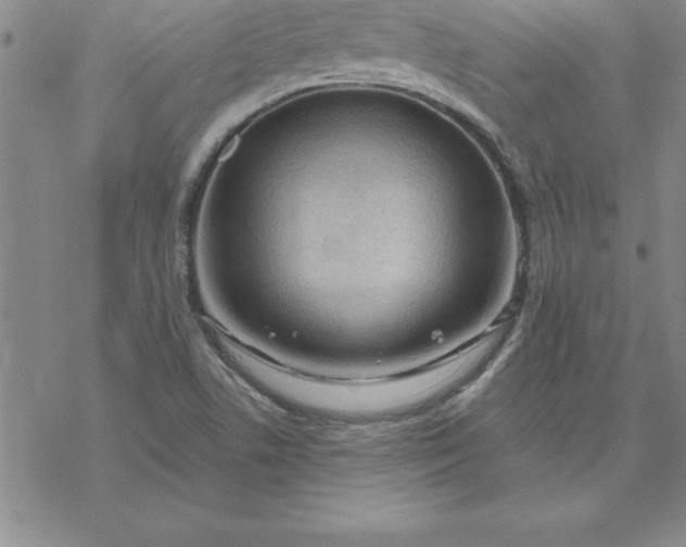 X0000069841506200606021348