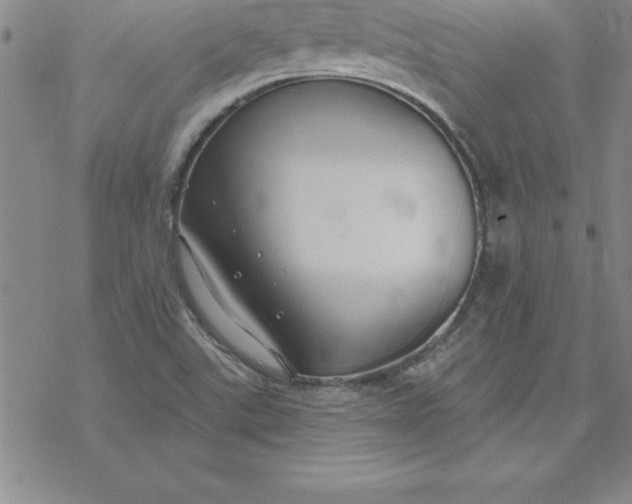 X0000069841507200606021348