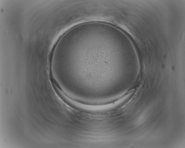 X0000069841508200606021348