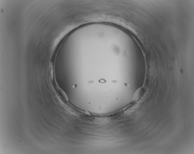 X0000069841509200606021348