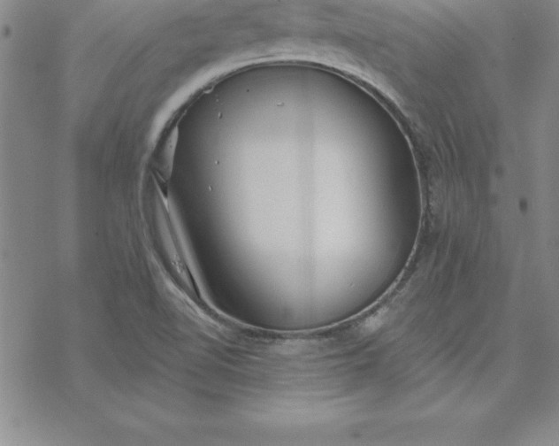 X0000069841510200606021348