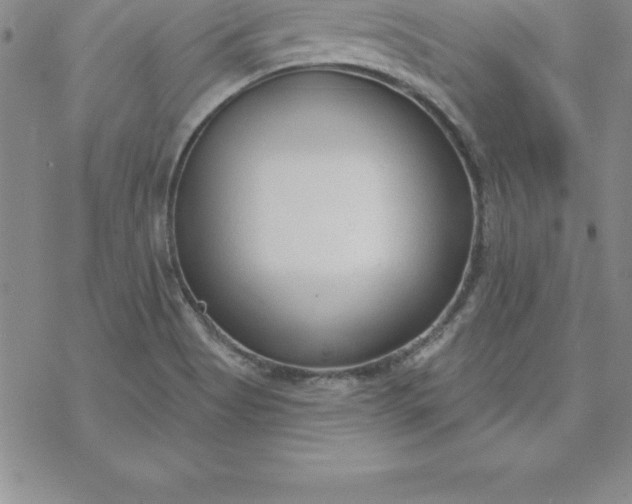 X0000069841513200606021348