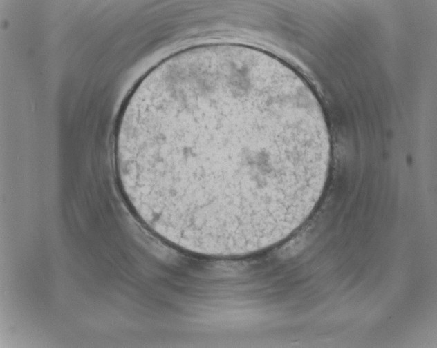 X0000069841514200606021348