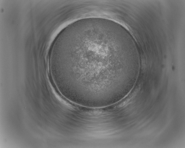 X0000069841515200606021348