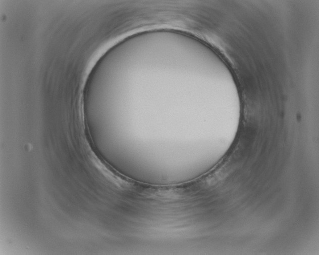 X0000069841516200606021348