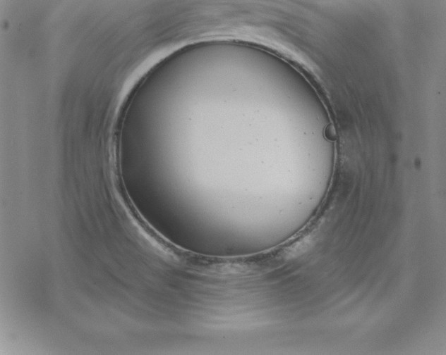 X0000069841517200606021348