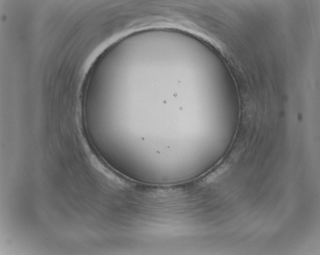 X0000069841518200606021348