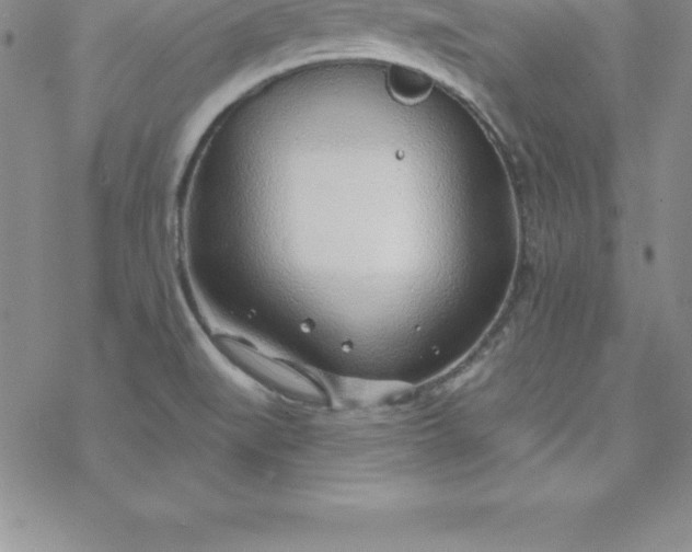 X0000069841519200606021348