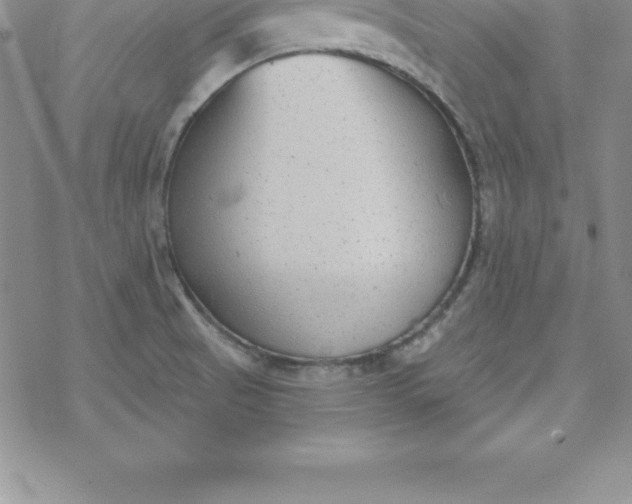 X0000069841521200606021348