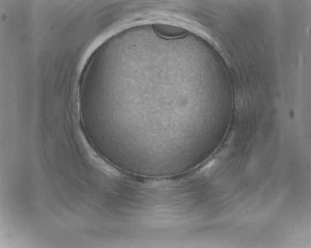 X0000069841522200606021348