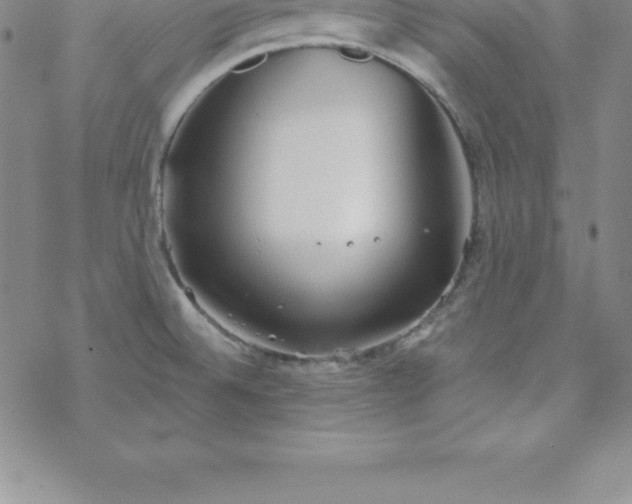 X0000069841524200606021349