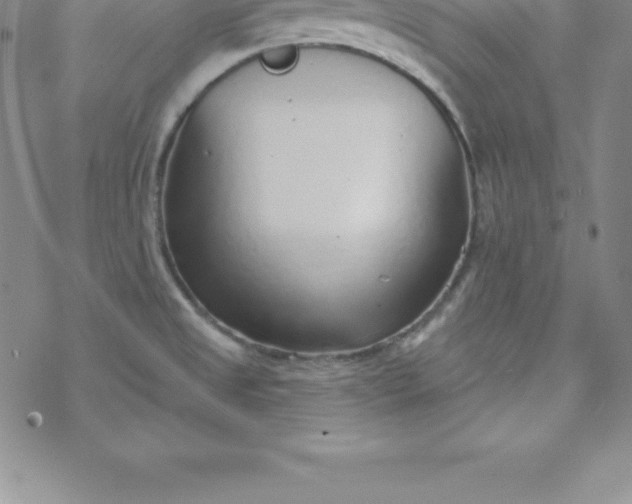 X0000069841525200606021349