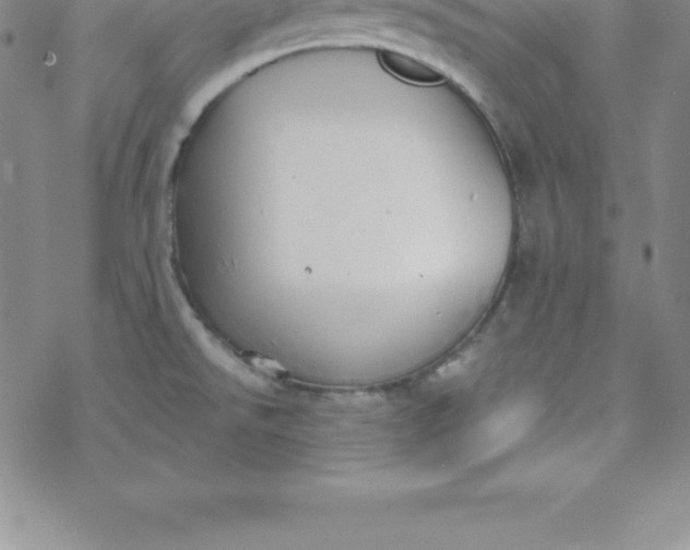 X0000069841526200606021349