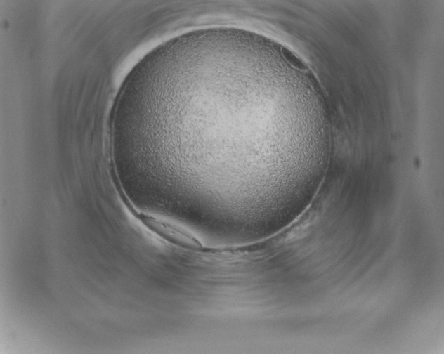 X0000069841527200606021349