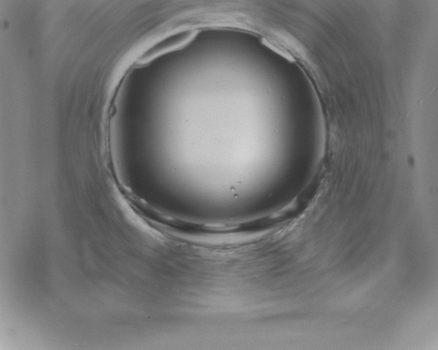 X0000069841528200606021349