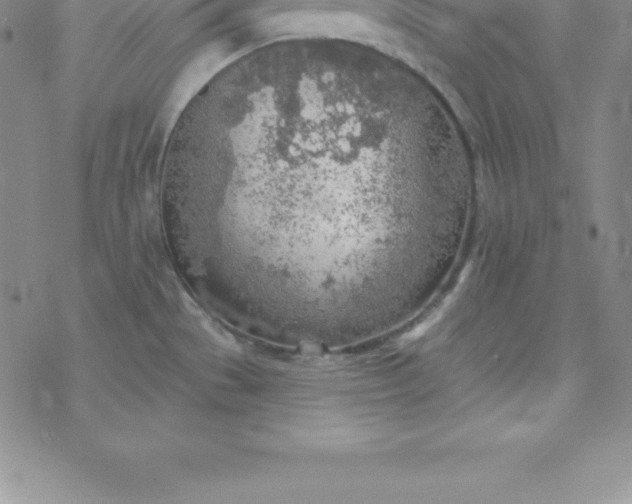 X0000069841529200606021349