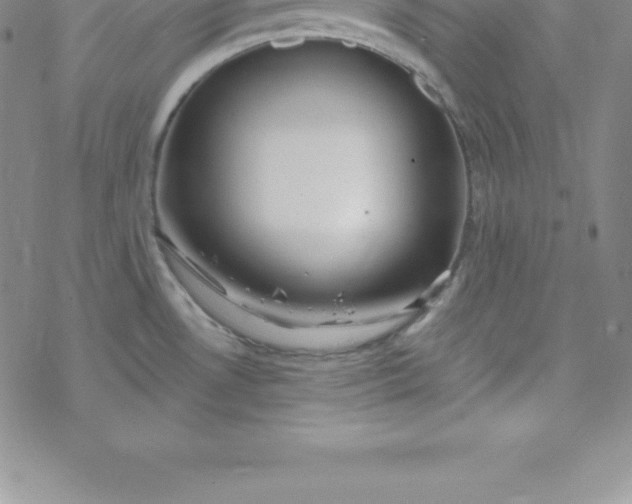 X0000069841530200606021349