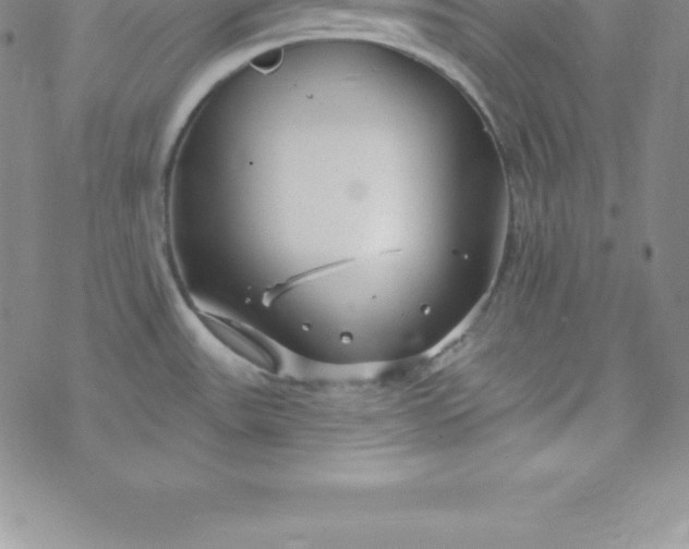 X0000069841531200606021349