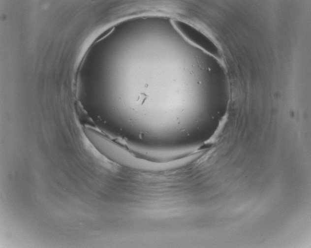 X0000069841532200606021349